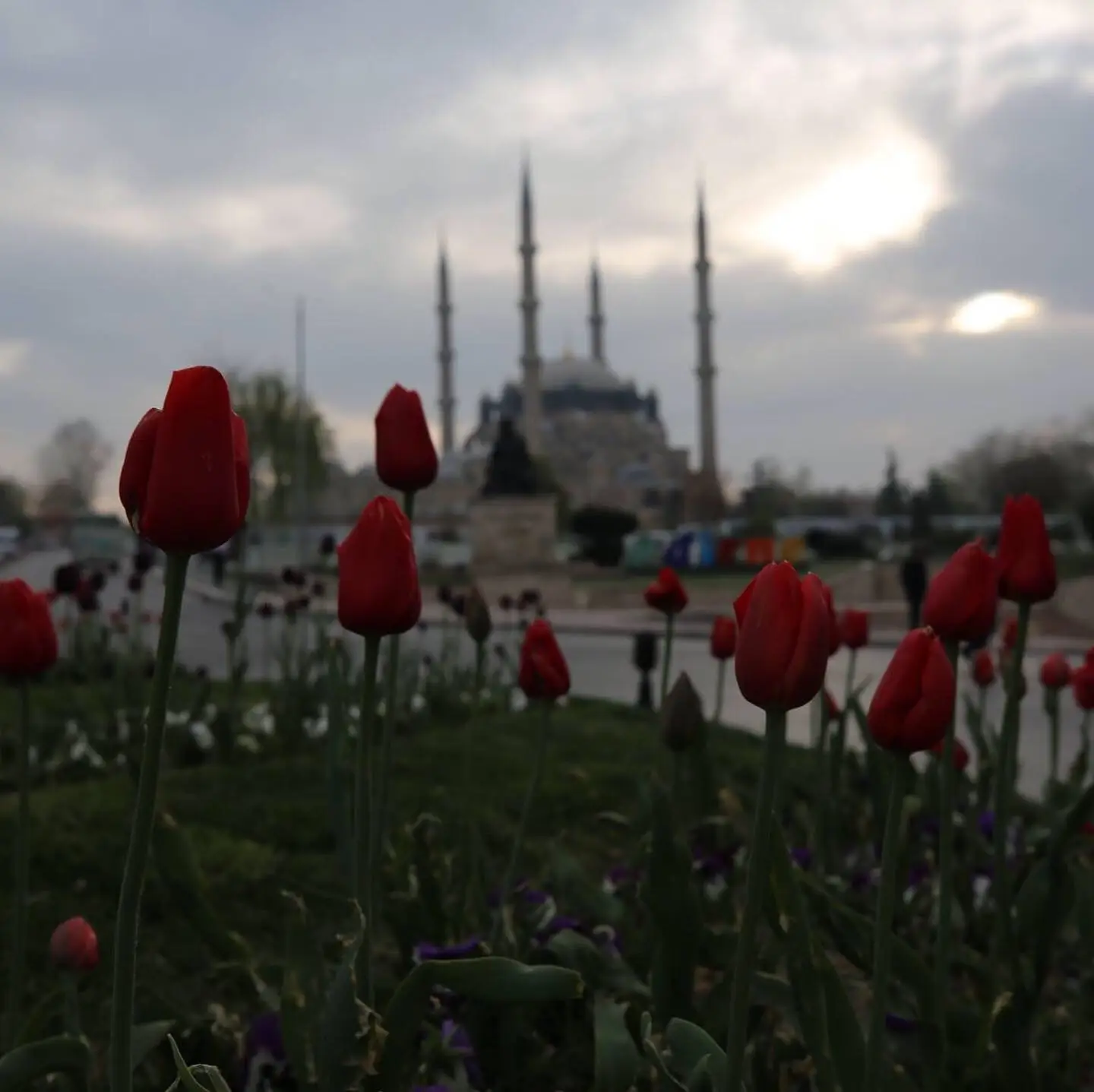 Cami Halısı Modelleri